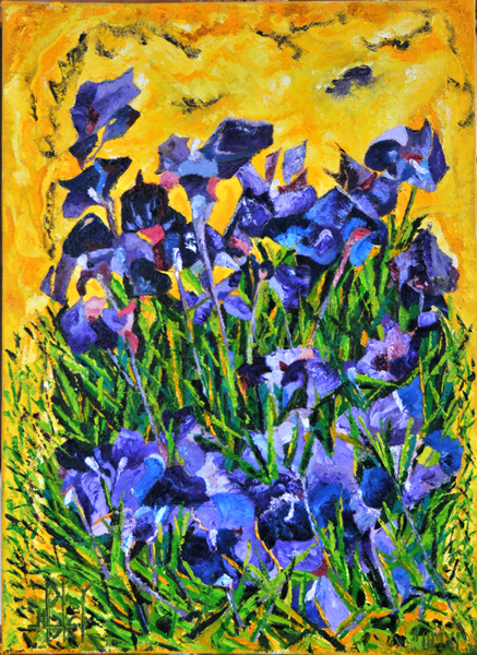 166 les iris de vincent